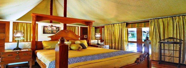 2468/Tuli Tiger Resort - Kanha National Park 07.jpg